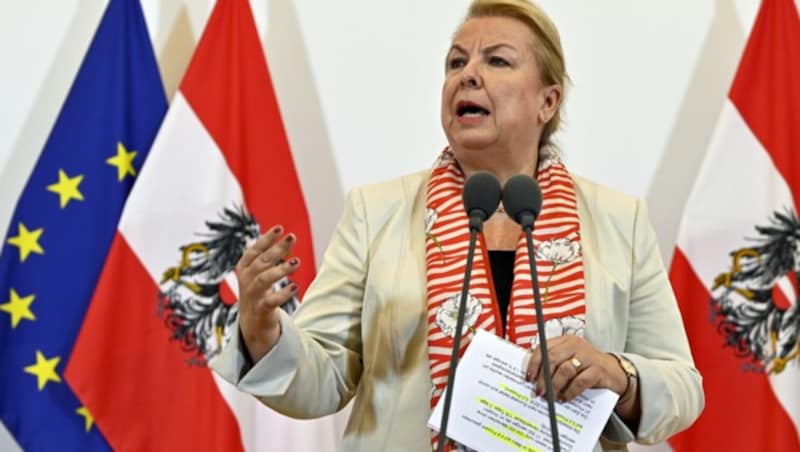 Vor dem Treffen mit den Ländern erhoffte sich Sozialministerin Beate Hartinger-Klein (FPÖ) einen „positiven Dialog“ - dieser Wunsch ging nicht in Erfüllung. (Bild: APA/HANS PUNZ)