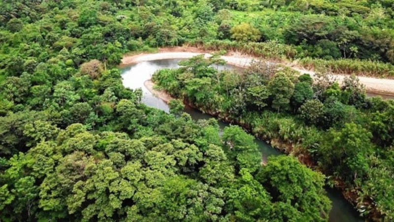 40 Quadratkilometer Regenwald in Costa Rica konnten mit Spenden der „Krone“-Leser freigekauft und für immer vor der Zerstörung gerettet werden. (Bild: Regenwald der Österreicher)