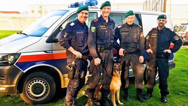 Polizeitdiensthund "Apollo" fand eine vermisste Wienerin (Bild: LPD Steiermark)