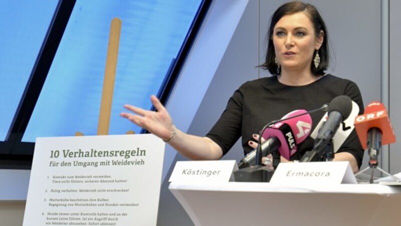 Umweltministerin Elisabeth Köstinger (ÖVP) (Bild: APA/HERBERT NEUBAUER)