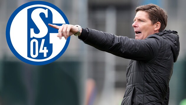 (Bild: GEPA/Walter Luger, FC Schalke 04, krone.at-Grafik)