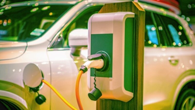 Die Themen der „Kärntner Energieberatungswochen“ reichen von E-Mobilität über Heizungstausch bis hin zu einfach umsetzbaren Energiespartipps. (Bild: Shutterstock)