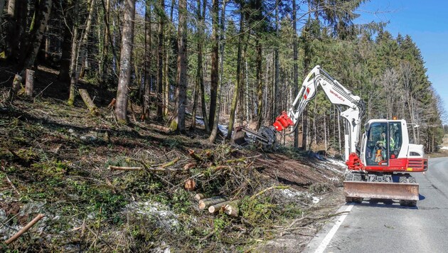 Der Winter und die enormen Schneemassen hinterließen große Schäden in den Wäldern, wie hier entlang der Russenstraße zwischen Thalgau und Hof. (Bild: Markus Tschepp)