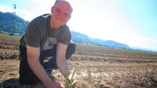 Josef Matschnig auf dem Spargelfeld in Ebenthal. (Bild: Evelyn HronekKamerawerk)