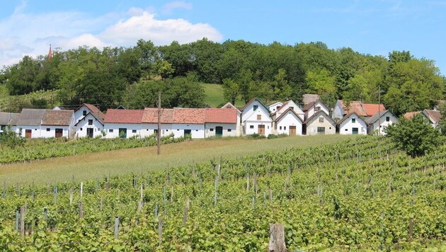 (Bild: Weinviertel Tourismus / Krönigsberger)