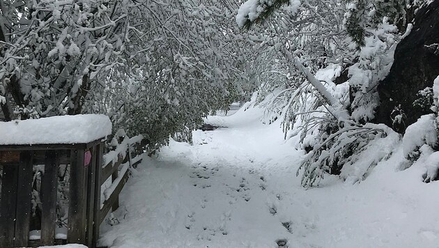 Winter-Wonderland bei Helmut L: „Grüße aus dem Außerfern“ (Bild: Leserreporter Helmut L.)