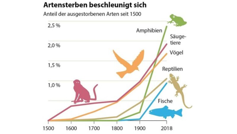 (Bild: APA)