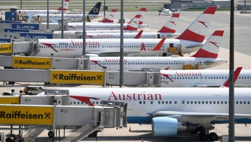 Flugzeuge am Flughafen Wien-Schwechat (Bild: APA/Helmut Fohringer)