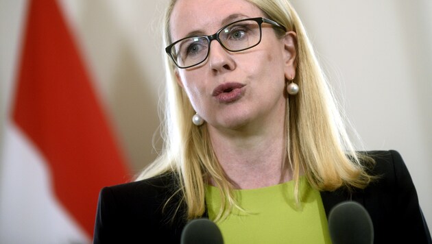 Wirtschaftsministerin Margarethe Schramböck (Bild: APA/HERBERT PFARRHOFER)