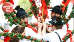 Maibaum in Radstadt (Bild: GERHARD SCHIEL)