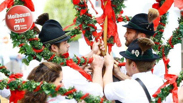 Maibaum in Radstadt (Bild: GERHARD SCHIEL)