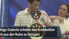 (Bild: AFP, krone.at-Grafik)