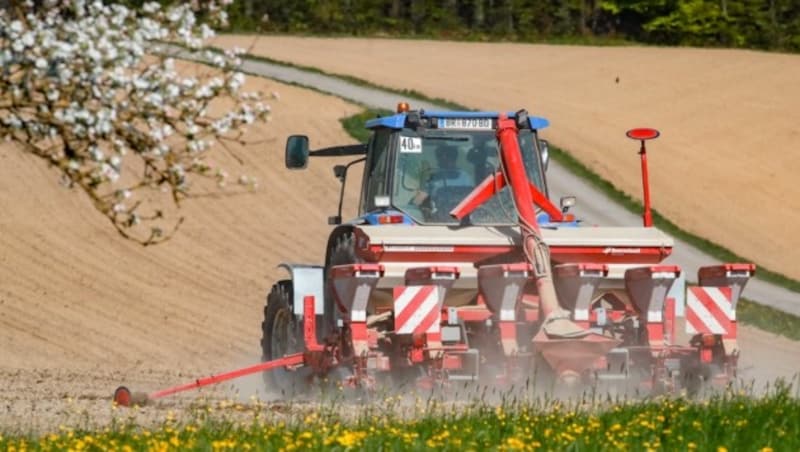 Ein Traktor bei der Mais-Saat (Bild: Pressefoto Scharinger © Daniel Scharinger)