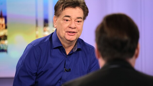 Grünen-Chef Werner Kogler (Bild: ORF)