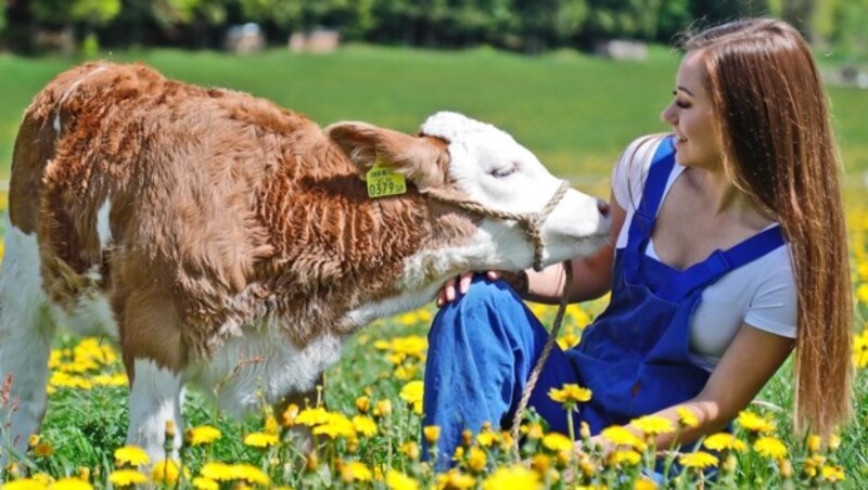 Tierlieb: Die Schönheitskönigin mit einem noch namenlosen Kälbchen. (Bild: Birbaumer Christof)