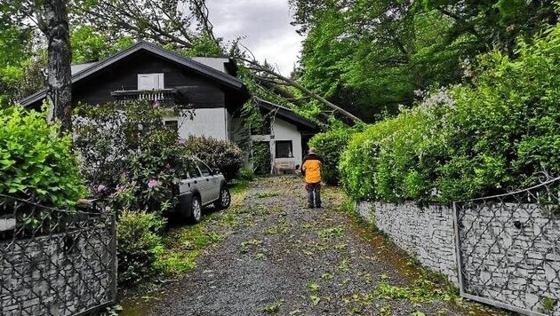 In Gratkorn stürzte ein Baum auf ein Wohnhaus (Bild: FF Gratkorn)