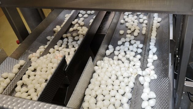 In Feldkirchen bei Mattighofen werden nun auch die Mozzarella-„Minis“ hergestellt. (Bild: Berglandmilch)