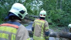 In Graz-Andritz hatte die Feuerwehr alle Hände voll zu tun. (Bild: BF Graz)