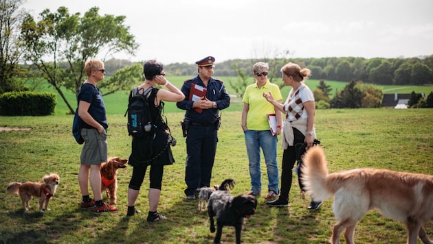 Experten und die Polizei touren durch die Hundezonen. (Bild: Victoria Posch)