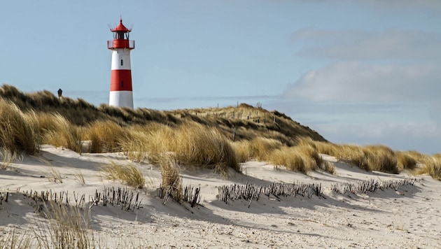 Von Sylt aus geht es per Zug jetzt direkt nach Salzburg (Bild: ©Markus Zeller - stock.adobe.com)