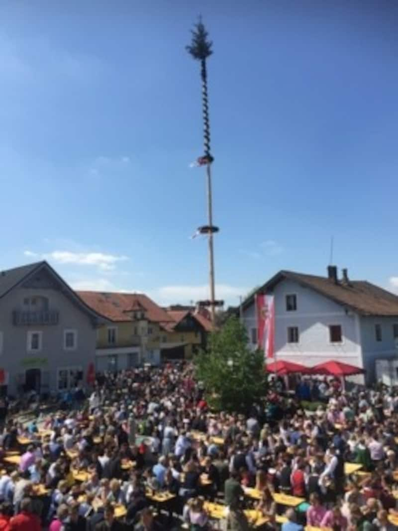 Maibaum in Straßwalchen-Irrsdorf (Bild: Dorfgemeinschaft Irrsdorf)