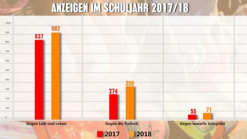 Steigerungen wurden sowohl bei den angezeigten Delikten gegen Leib und Leben (z. B. Körperverletzung) als auch bei Delikten gegen die persönliche Freiheit (z. B. gefährliche Drohung, Nötigung) sowie gegen die sexuelle Integrität und Selbstbestimmung (z. B. Belästigung) verzeichnet. (Bild: krone.at-Grafik )