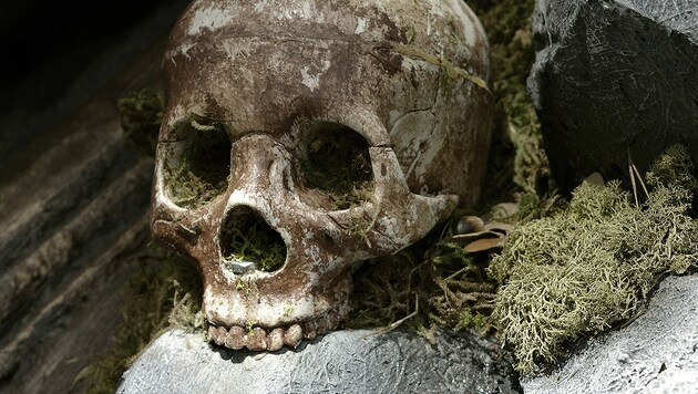 Immer wieder kommt es im Burgenland zu ungewöhnlichen Knochenfunden. (Bild: stock.adobe.com, krone.at-Grafik)