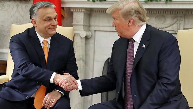 Orban zu Besuch bei US-Präsident Donald Trump (Bild: APA/AFP/GETTY IMAGES/MARK WILSON)