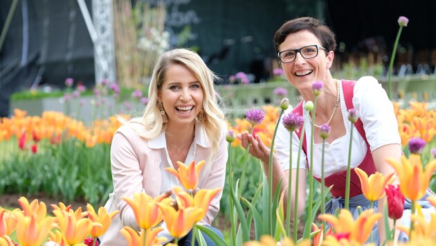 Magdalena Aufreiter und Eva Eder genießen die Farbtupfer, die Tulpen und Zierlauch in das Grün setzen. (Bild: Horst Einöder)