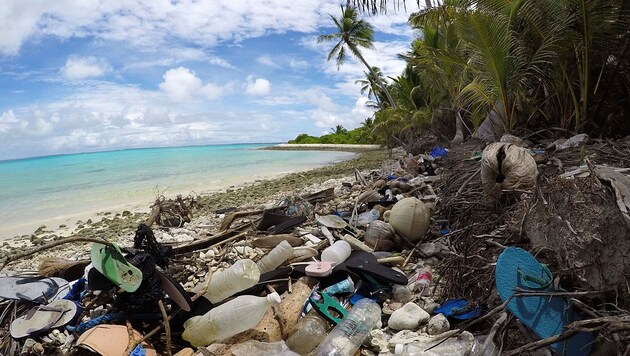 Plastikmüll auf den Kokosinseln (Bild: Jennifer Lavers)