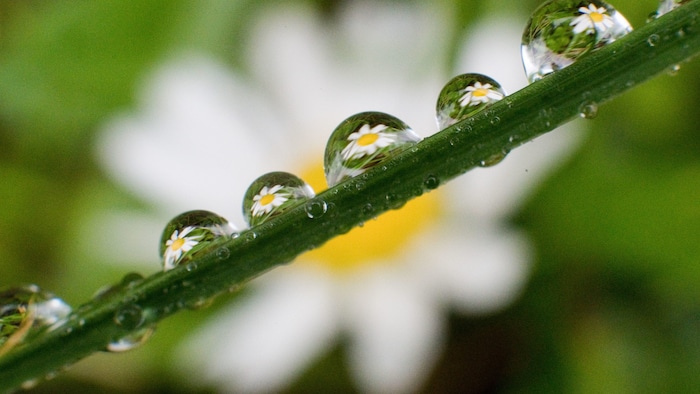 Auch in den nächsten Tagen werden keine größeren Regenmengen erwartet.