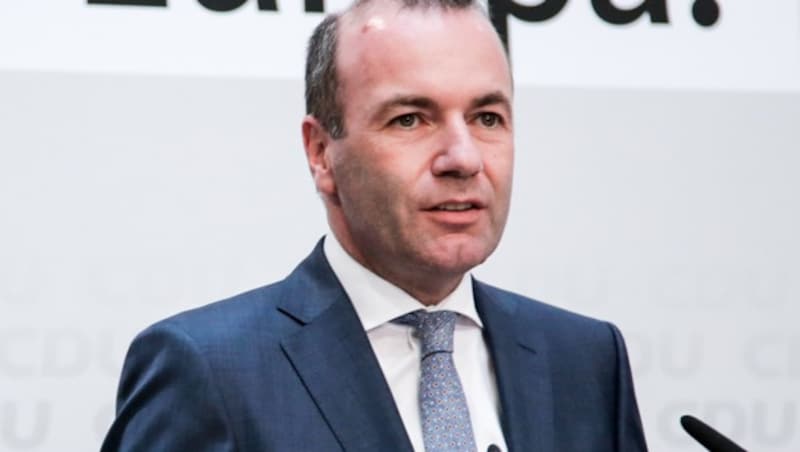 Manfred Weber (Bild: AP, krone.at-Grafik)