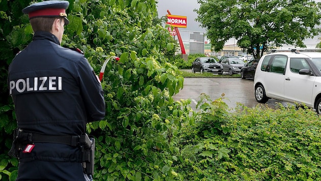 (Bild: APA/FOTOKERSCHI.AT/WERNER KERSCHBAUMMAYR, APA/GEORG HOCHMUTH, krone.at-Grafik)