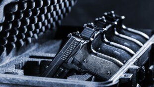 A principios de año se registraron 405.463 rifles y pistolas en Baja Austria.  (Imagen: stock.adobe.com (imagen del icono))