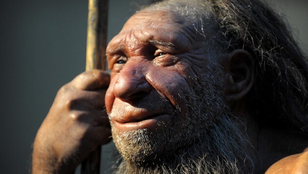 Neandertaler (Bild: APA/dpa/Federico Gambarini)