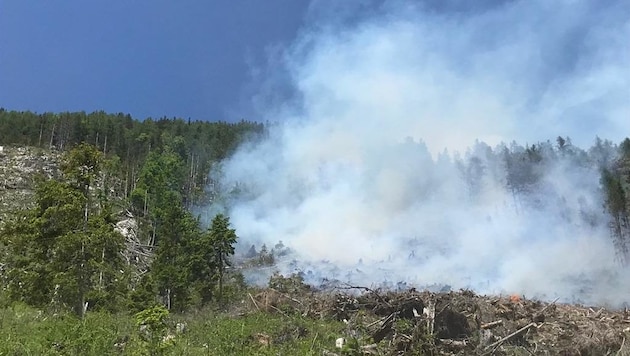 Der Brand war gegen Mittag im Bereich eines Waldhanges auf rund 1300 Meter Seehöhe ausgebrochen. (Bild: BFKDO Klagenfurt-Land)
