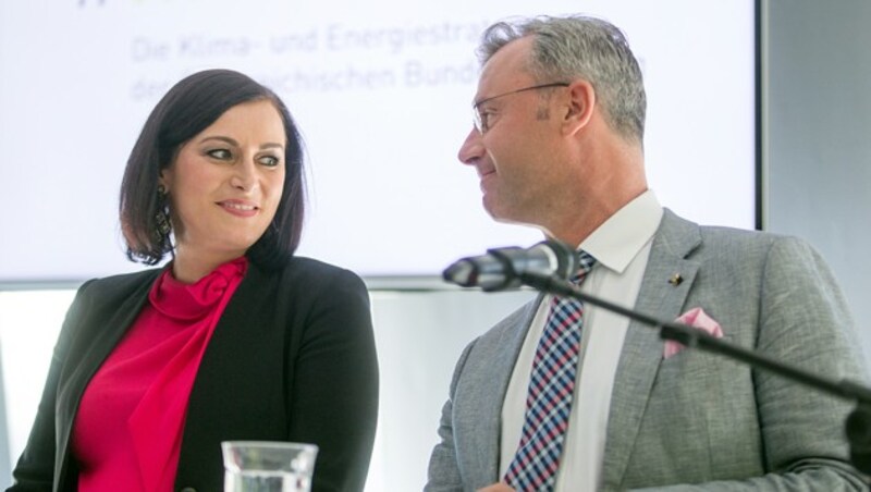 Elisabeth Köstinger (ÖVP) und Norbert Hofer (FPÖ) (Bild: APA/Georg Hochmuth)