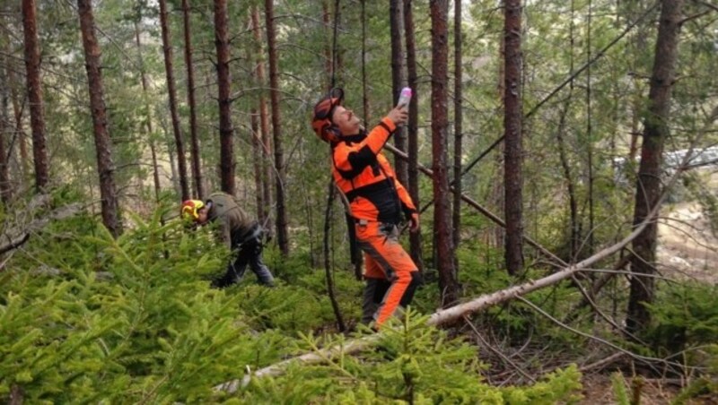 Über die Risiken und Gefahren des Klimawandels will der Verein auch Nicht-Waldbesitzer informieren - sie sind oft diejenigen, die unter den Schutzwäldern wohnen. (Bild: Kärntner Waldpflegeverein)