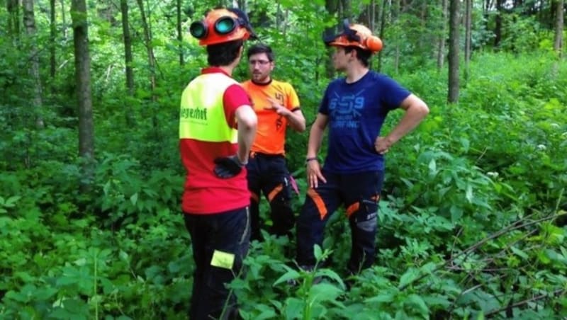 Der Waldpflegeverein bietet „One-on-One-Trainings“. (Bild: Kärntner Waldpflegeverein)