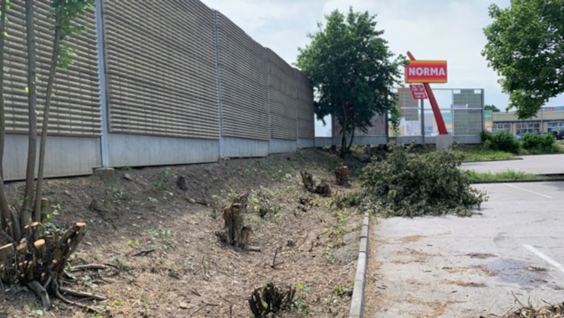 Der Tatort: der Parkplatz vor einem Diskonter. Die Leiche des Opfers wurde im Gebüsch versteckt. Die Kripo ließ es jetzt entfernen. (Bild: krone.at)