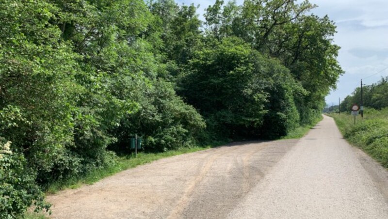 Nach seiner grauenhaften Tat fuhr der Killer mit Brigitte G.s Opel Corsa los. Er stellte das Fahrzeug schließlich bei einem Wald, nur wenige Kilometer vom Tatort entfernt, ab. (Bild: krone.at)