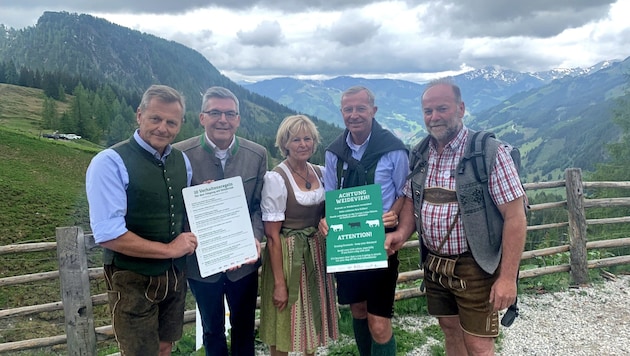 Eine Informationskampagne und eine Versicherung sorgen für Rechtssicherheit bei den Almbauern (Bild: Salzburger Land Tourismus/Neumayr)