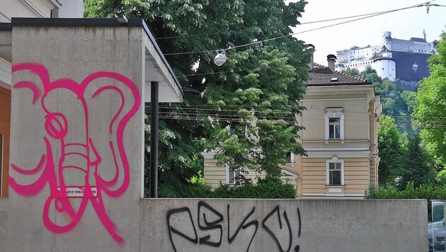 Graffitis in der Steingasse (Bild: Temmel Anton)