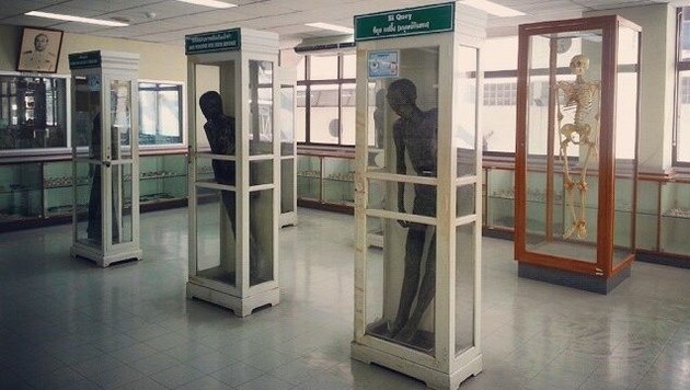 Der Kindermörder Si Quey (Glaskasten rechts) ist seit Jahrzehnten im Museum der Klinik in Bangkok ausgestellt. (Bild: instagram.com/mishajoh)