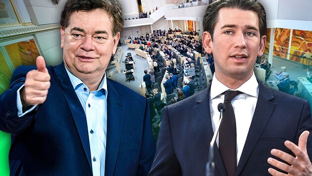 Grünen-Chef Werner Kogler (li.), ÖVP-Chef Sebastian Kurz (Bild: APA/AFP, APA/HANS KLAUS TECHT, APA/Georg Hochmuth, krone.at-Grafik)