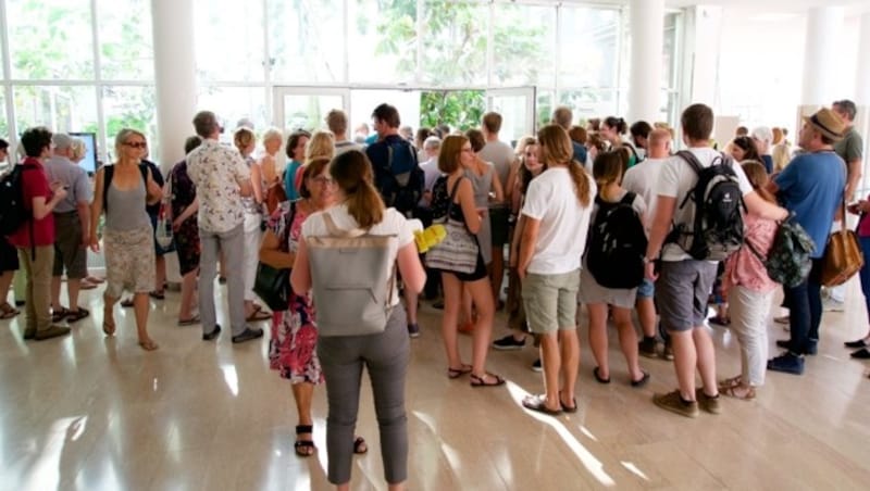 Trotz des unangenehmen Geruchs lockt die Blüte viele Schaulustige an. (Bild: Universität Salzburg/Hans-Christian Gruber)