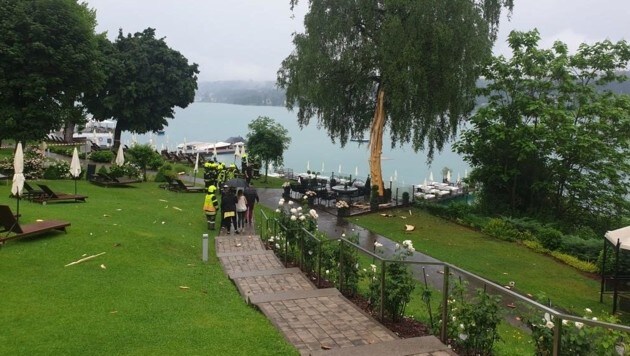 In Velden beim Seehotel Europa hat ein Blitz in einen Baum eingeschlagen (Bild: ZVG)