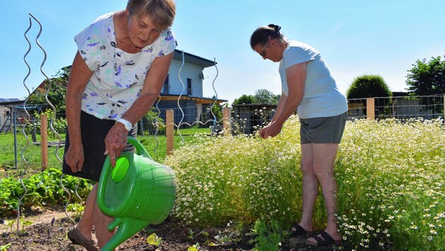 Rosa Hermann (rechts) teilt ihren Garten neuerdings mit Josefine Moser. (Bild: Chance B/Strempfl)
