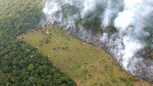 Mit der Abholzung des Regenwaldes häufen sich auch die Waldbrände. Dies könnte katastrophale Konsequenzen mit sich ziehen. (Bild: APA/dpa/EFE/Marcelo Sayao)