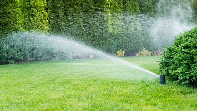 Ein Rasensprenkler eignet sich besonders für die Bewässerung großer Grünflächen. (Bild: ©catto32 - stock.adobe.com)
